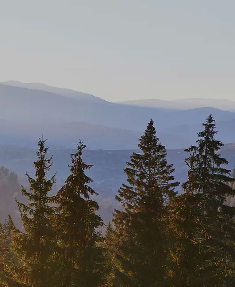 レザーデザインメラミンボード